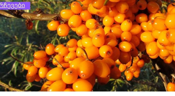 ახალგაზრდობის ელექსირი თქვენი სახისა და თმისთვის