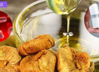 როგორ გამოვიყენოთ ლეღვის ჩირი კუჭ-ნაწლავის ტრაქტის პრობლემების მოსაგვარებლად და სისხლის მდგომარეობის გასაუმჯობესებლად