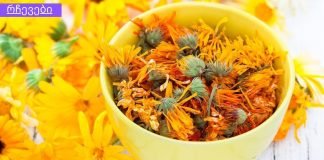 რა შეუძლია კალენდულას ყვავილებს: მისი ექსტრაქტი 200-ზე მეტი მედიკამენტის ნაწილია!