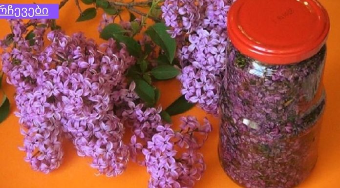 დაივიწყეთ ბევრი დაავადება – არაყზე მოამზადეთ იასამნის ნაყენი