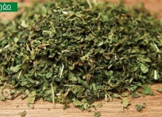 ეს მცენარე ამცირებს შაქრის დონეს, აახალგაზრდავებს კანს, წმენდს თირკმელებს, აქრობს თმის ცვენას და სხვა!