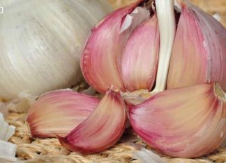 გამოაქვს ორგანიზმიდან მარილები, მატებს ეფექტურობას, წმენდს სისხლს, აუმჯობესებს იმუნიტეტს, ამაგრებს სისხლძარღვებს!