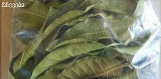 გაწუხებთ დიაბეტი? უბრალოდ მოხარშეთ ეს ფოთლები და პრობლემა წამლის გარეშე მოგვარდება.