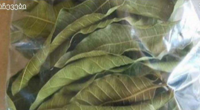 გაწუხებთ დიაბეტი? უბრალოდ მოხარშეთ ეს ფოთლები და პრობლემა წამლის გარეშე მოგვარდება.