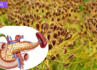 რასაც არცერთი ექიმი არ გეტყვის!როგორ ვუმკურნალოთ რეალურად პანკრეასს,საიდანაც ვითარდება დიაბეტი.ხალხური საშუალებები.