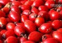 ეს საშუალება ძალიან ეფექტურია ქრონიკული დაღლილობის დროს.