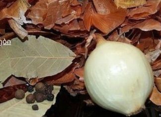 ხალხური საშუალებები, რომლებიც აშორებენ ნახველს ფილტვებიდან