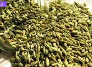 მე ვსვამ ამ სურნელოვან ნარევს დღეში 3-ჯერ და სულ დამავიწყდა წნევის ვარდნა.