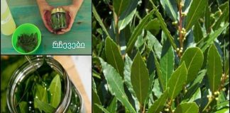 დაემშვიდობეთ ვარიკოზულ ვენებს, სახსრების ტკივილს, მეხსიერების პრობლემებს დაფნის ზეთის წყალობით!