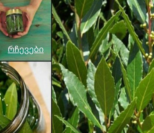 დაემშვიდობეთ ვარიკოზულ ვენებს, სახსრების ტკივილს, მეხსიერების პრობლემებს დაფნის ზეთის წყალობით!