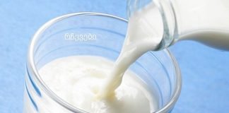 ამ რეცეპტს უკვდავების ელექსირი ჰქვია.