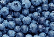 რატომ უნდა მიირთვათ მოცვი?