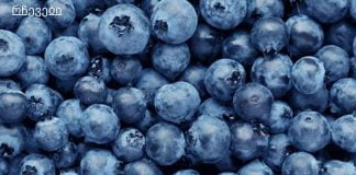 რატომ უნდა მიირთვათ მოცვი?