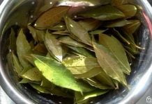 დაფნის ფოთლის წარმოუდგენელი სარგებელი და გამოყენება