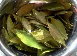 დაფნის ფოთლის წარმოუდგენელი სარგებელი და გამოყენება