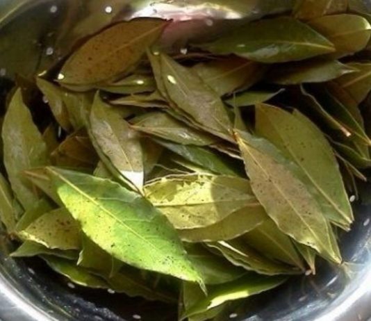 დაფნის ფოთლის წარმოუდგენელი სარგებელი და გამოყენება