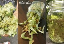 5 მცენარე, რომელიც აუმჯობესებს სისხლის მიმოქცევას.