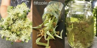 5 მცენარე, რომელიც აუმჯობესებს სისხლის მიმოქცევას.