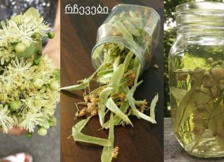 5 მცენარე, რომელიც აუმჯობესებს სისხლის მიმოქცევას.