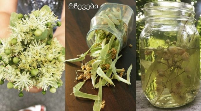 5 მცენარე, რომელიც აუმჯობესებს სისხლის მიმოქცევას.