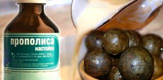 პროპოლისი კურნავს ნაწლავებსა და კუჭს: მარტივი მკურნალობა, მაგრამ ეფექტური სამკურნალო!