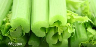 რატომ არის მნიშვნელოვანი თქვენს დიეტაში მწვანილის დამატება?