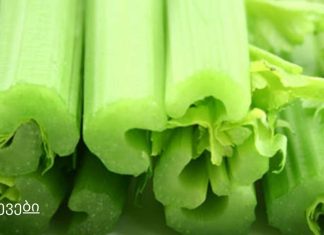 რატომ არის მნიშვნელოვანი თქვენს დიეტაში მწვანილის დამატება?