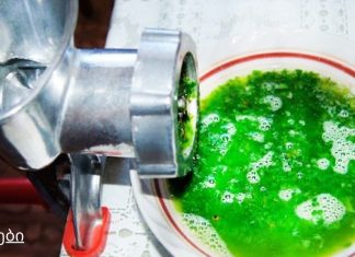 ალოე, თაფლი, კაჰორი (ღვინო) – გაგიუმჯობესებთ ჯანმრთელობას