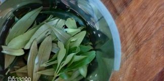 ბიბლიაში დაწერილი რეცეპტი. ეს ძლიერი და 3500 წლის წინანდელი წამალი განკურნავს ყველა დაავადებას!