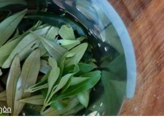 ბიბლიაში დაწერილი რეცეპტი. ეს ძლიერი და 3500 წლის წინანდელი წამალი განკურნავს ყველა დაავადებას!