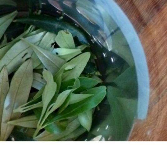 ბიბლიაში დაწერილი რეცეპტი. ეს ძლიერი და 3500 წლის წინანდელი წამალი განკურნავს ყველა დაავადებას!