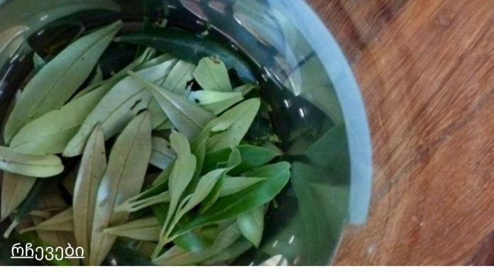 ბიბლიაში დაწერილი რეცეპტი. ეს ძლიერი და 3500 წლის წინანდელი წამალი განკურნავს ყველა დაავადებას!