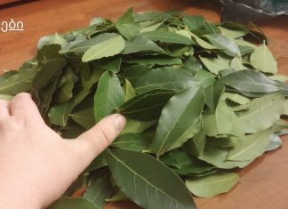 ისინი ამბობენ, რომ ღმერთმა თავად დაგვიტოვა ეს საჩუქარი: აკონტროლებს არტერიულ წნევას, მკურნალობს დიაბეტს, ცუდ ქოლესტერინს და იცავს უძილობისგან