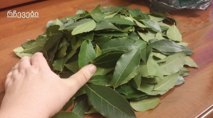 ისინი ამბობენ, რომ ღმერთმა თავად დაგვიტოვა ეს საჩუქარი: აკონტროლებს არტერიულ წნევას, მკურნალობს დიაბეტს, ცუდ ქოლესტერინს და იცავს უძილობისგან