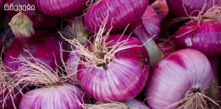 კისერზე წითელი ხახვი შემოიხვია და დაიძინა: როცა გაიღვიძა, სასწაული მოხდა!