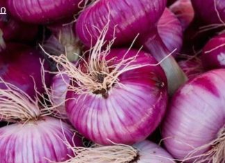 კისერზე წითელი ხახვი შემოიხვია და დაიძინა: როცა გაიღვიძა, სასწაული მოხდა!