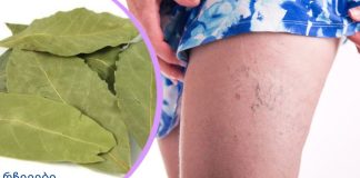 ამ ფოთლების წყალობით თქვენ მოგიხსნით ვარიკოზულ ვენებს, მეხსიერების პრობლემებს და თავის ტკივილს!