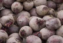 “მე ვარ 60 წლის და ამ პროდუქტმა დამიბრუნა მხედველობა, ამოიღო ცხიმი ღვიძლიდან და მთლიანად გამიწმინდა მსხვილი ნაწლავი!”