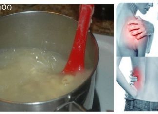 ყველაზე ჯანსაღი საკვები მსოფლიოში: შეამცირეთ ქოლესტერინი და არტერიული წნევა,თავიდან აიცილეთ ინფარქტი და ინსულტი!