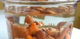 დაასველეთ 4 ნუში წყალში ღამით და მიირთვით მეორე დილით! საოცარი რამ დაემართება შენს სხეულს!