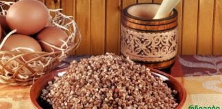 ექიმებსაც არ სჯერათ.ეს ფაფა ფარისებრი ჯირკვლის ხსნაა!