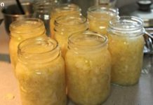 კომბოსტო არის თქვენი საიდუმლო იარაღი ცხიმების და გულის დაავადებების წინააღმდეგ!