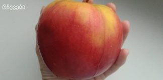 ვაშლის ნარევი ცხიმიანი კანისთვის