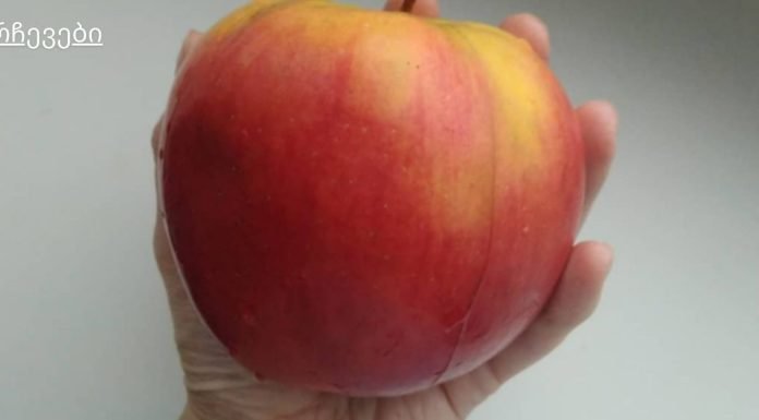 ვაშლის ნარევი ცხიმიანი კანისთვის