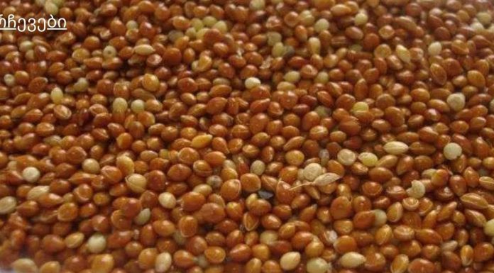 კიდევ ერთი რეცეპტი ფეტვით, რომელიც განკურნავს შარდსასქესო სისტემის ანთებას.