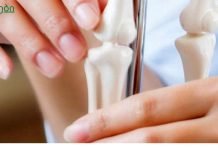 რა არის ძვლის რეზორბცია? ძვლის დაკარგვა გამოწვეულია იმუნური სისტემით?