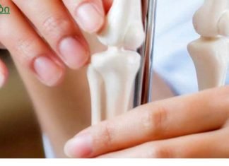 რა არის ძვლის რეზორბცია? ძვლის დაკარგვა გამოწვეულია იმუნური სისტემით?