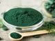 სპირულინა სახის სარგებლობისთვის და რეცეპტებისთვის
