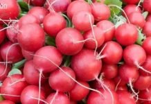 წითელი ბოლოკი იცავს გულსა და სისხლძარღვებს