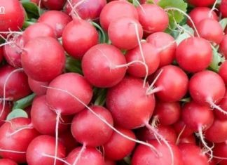 წითელი ბოლოკი იცავს გულსა და სისხლძარღვებს